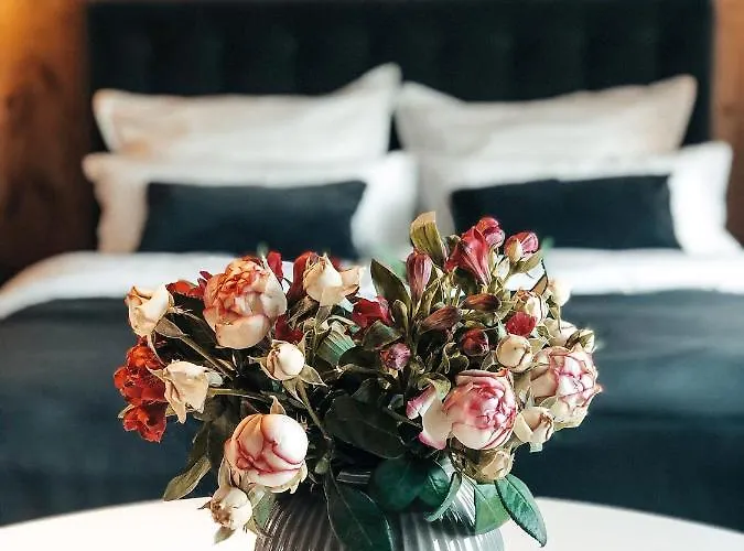 Living Boardinghouse * Gießen